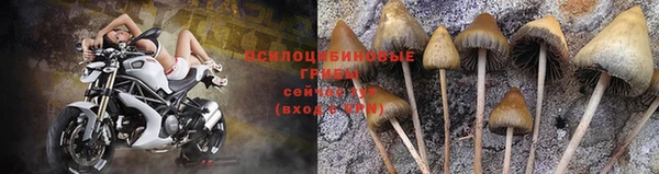 mdpv Баксан